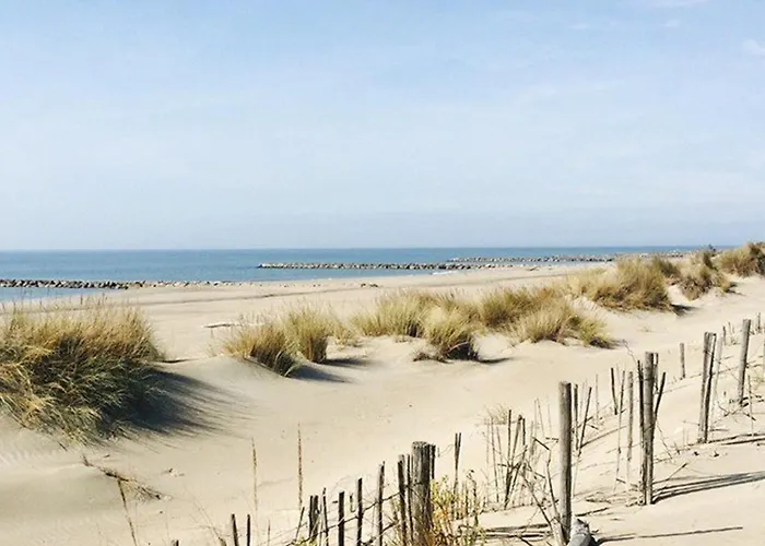 3 Etoiles Avec Piscine Privee, 500m De La Plage, 4 Pour 6-8 Pers. Au Grau-du-roi - Fr-1-307-157